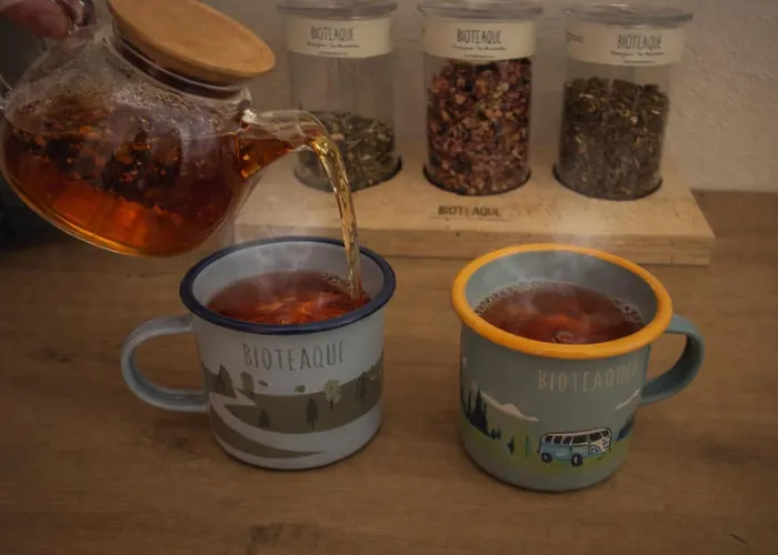 Apartament Alpenchalet Vital Neustift im Stubaital